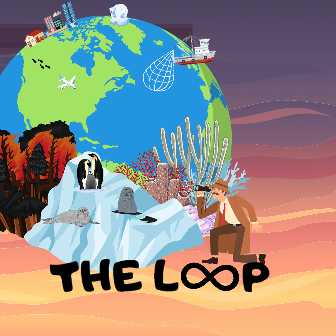 Climate Change x Detective Game: The Loop